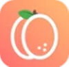 白杏云app 白杏云app