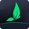 绿茶视频app